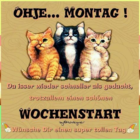 guten morgen montag lustig kostenlos|schöne gute morgenbilder für whatsapp.